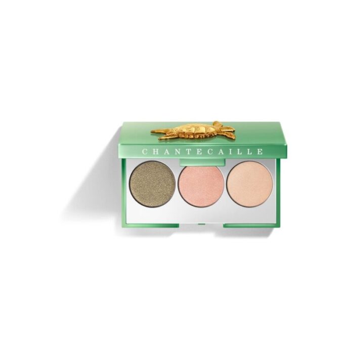 sea turtle eyeshadow trio warm 240306035409